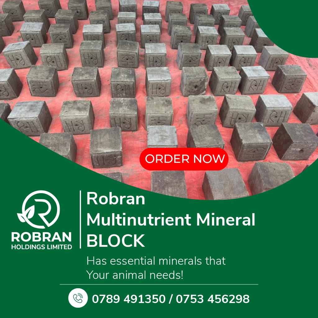 blocks